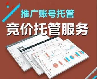 湖北竞价托管