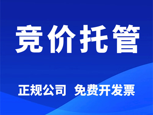 南阳市sem竞价托管