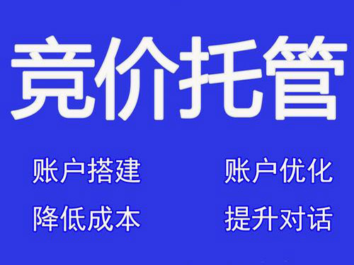 郑州sem竞价推广服务公司