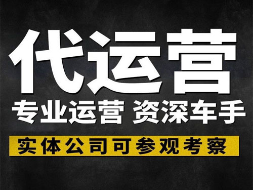 南阳拼多多运营