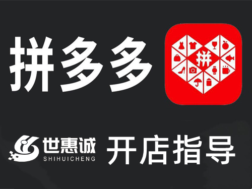 南阳工厂开通拼多多店铺
