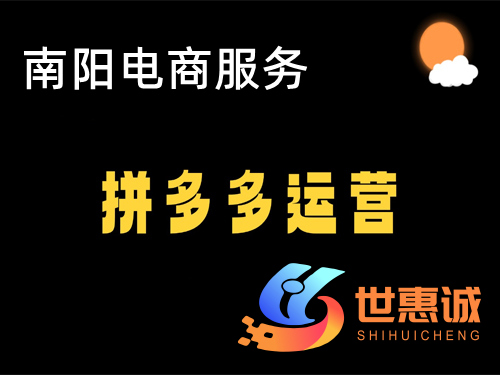 南阳电商代运营公司