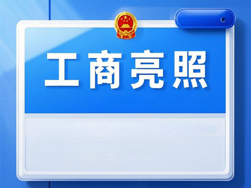公司网站工商亮照代码部署